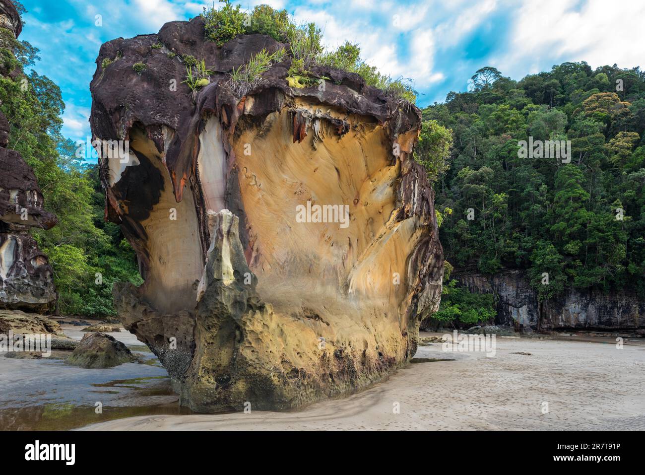 Geologisch interessante Sandsteinfelsen im Bako-Nationalpark auf Borneo. Der Park mit seiner reichen Artenvielfalt und seinen zahlreichen Biomes ist es auch Stockfoto