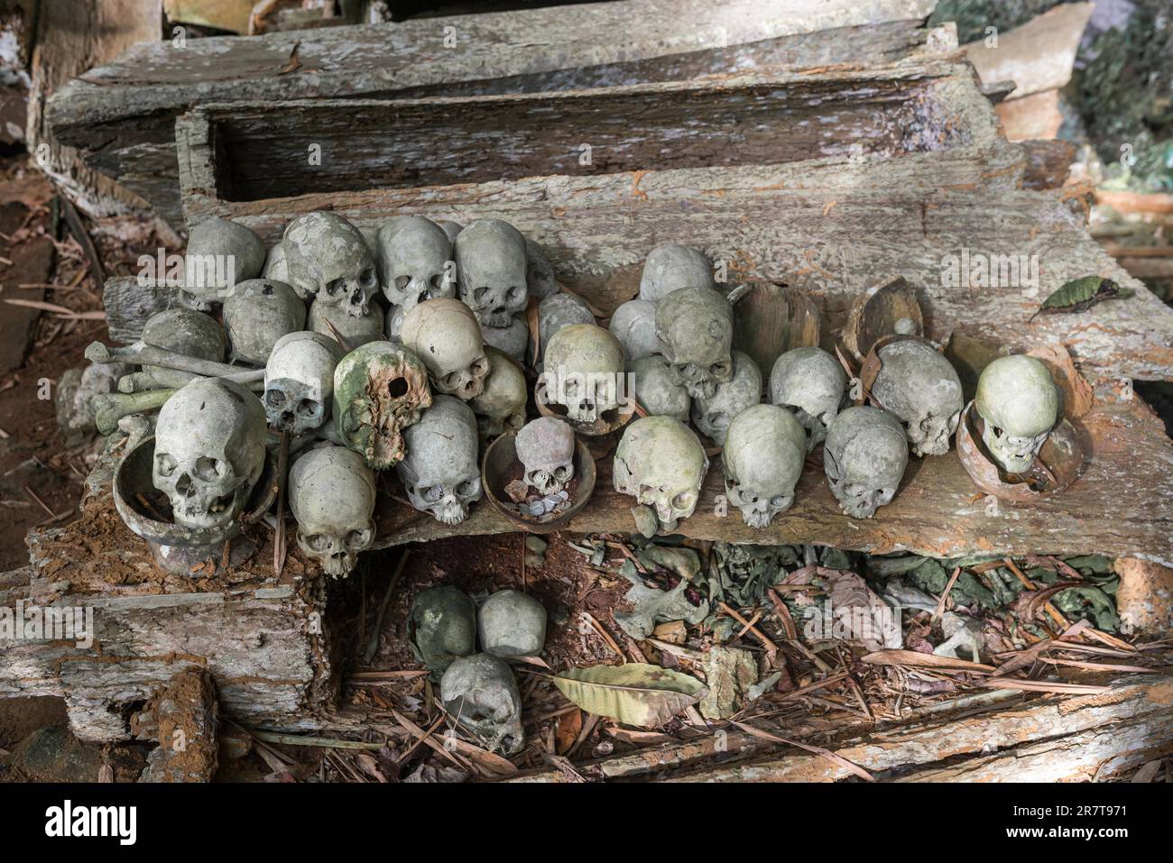 Das spektakuläre Höhlengrab von Lombok Parinding, in dem die Toten von Tana Toraja seit 700 Jahren leben. Das Grab ist berühmt für seine uralte, kunstvoll verzierte Fassade Stockfoto