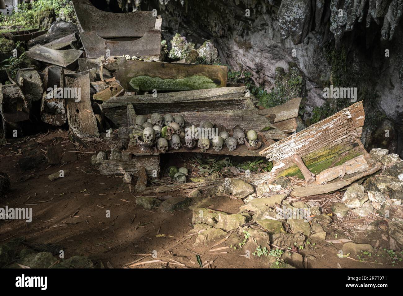 Das spektakuläre Höhlengrab von Lombok Parinding, in dem die Toten von Tana Toraja seit 700 Jahren leben. Das Grab ist berühmt für seine uralte, kunstvoll verzierte Fassade Stockfoto