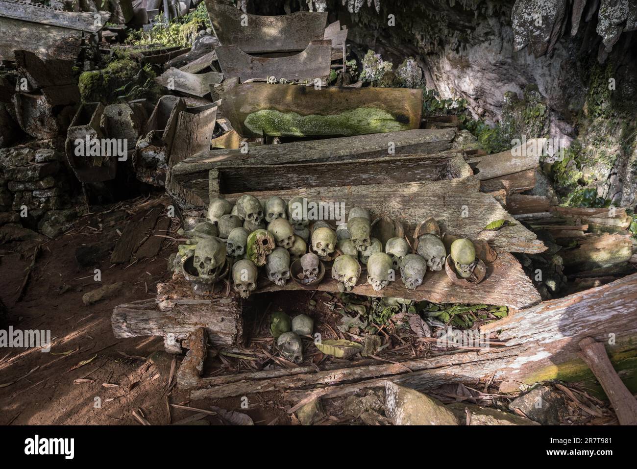 Das spektakuläre Höhlengrab von Lombok Parinding, in dem die Toten von Tana Toraja seit 700 Jahren leben. Das Grab ist berühmt für seine uralte, kunstvoll verzierte Fassade Stockfoto