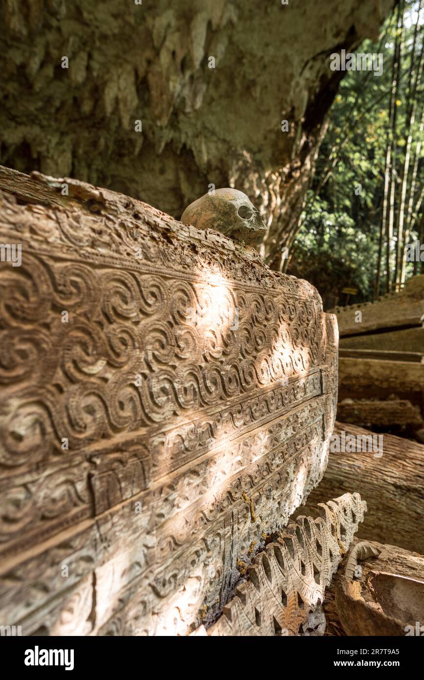 Das spektakuläre Höhlengrab von Lombok Parinding, in dem die Toten von Tana Toraja seit 700 Jahren leben. Das Grab ist berühmt für seine uralte, kunstvoll verzierte Fassade Stockfoto