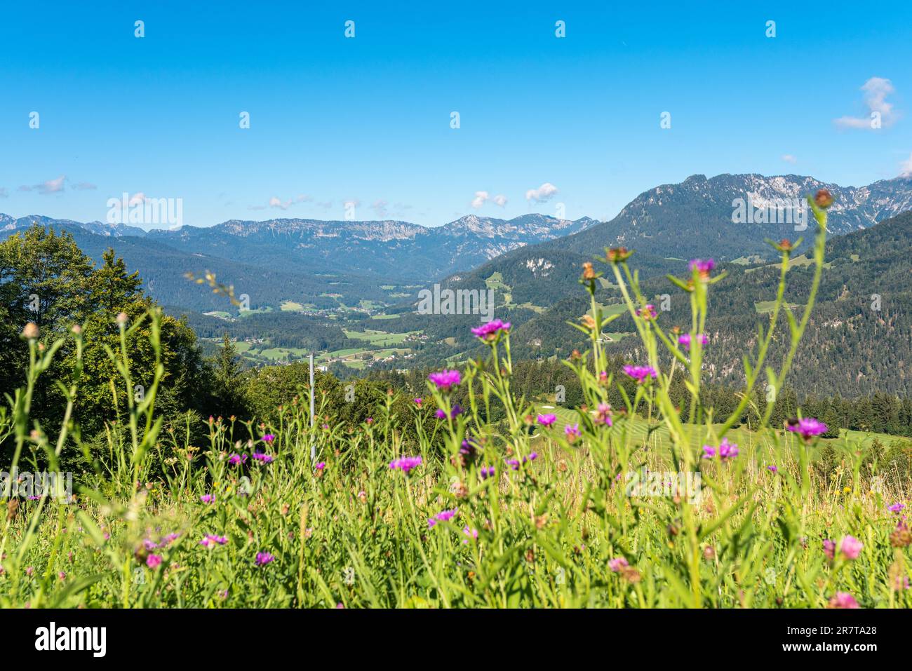 Panoramablick auf die Berchtesgaden-Alpen mit dem Lattengebirge und Blick auf das Tal von Bieschofswiesen, die nördlichen Kalksteinalpen, nach denen benannt wurde Stockfoto