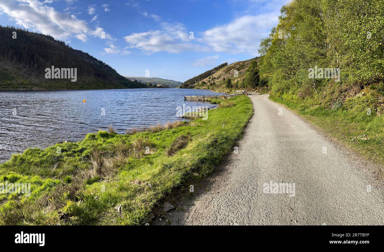 Llyn Geirionydd Mountain Lake, Wales, Großbritannien Stockfoto