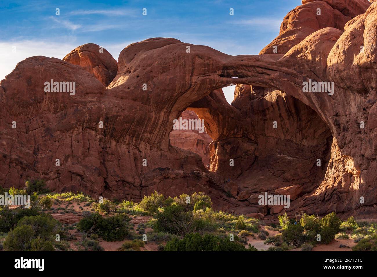 Double Arch, Windows-Bereich, Arches-Nationalpark, Utah, USA Stockfoto