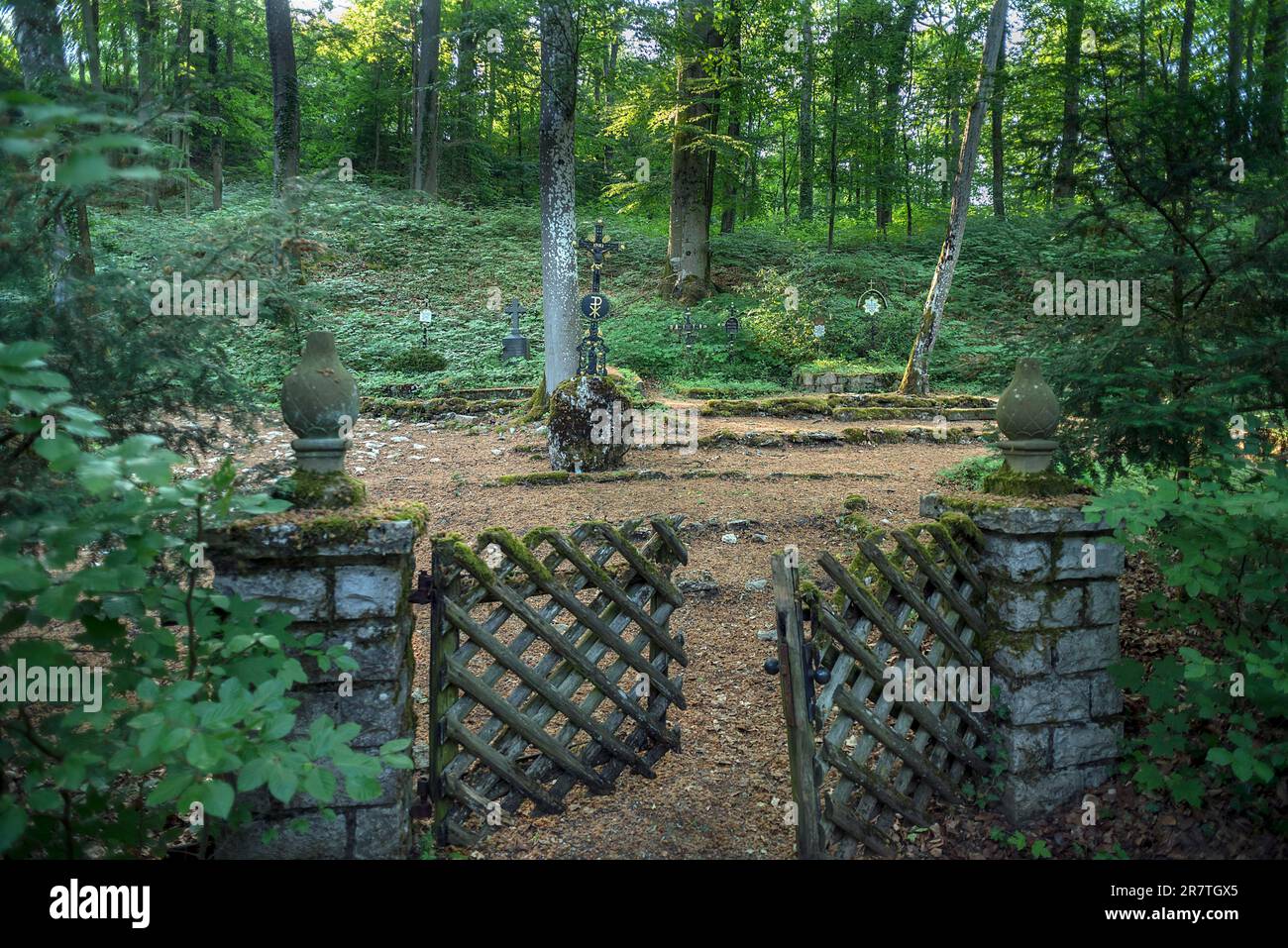 Historischer Waldfriedhof der Adligen in einem Grabwald aus dem Jahre 1830, Oberfrankreich, Bayern Stockfoto