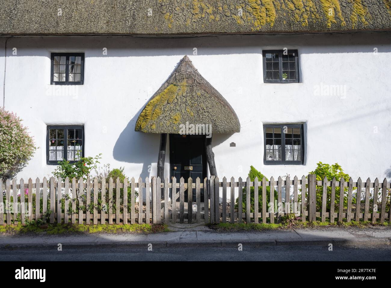 Traditionell gebautes englisches Terrassenhaus mit Strohdächern, Salisbury, Wiltshire, England, Großbritannien Stockfoto
