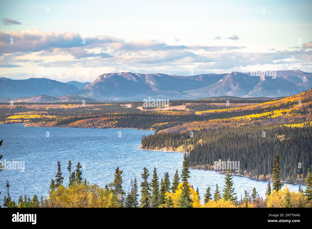 Blick aus der Vogelperspektive auf den Little Atlin Lake im Yukon Territory, Nordkanada. Stockfoto