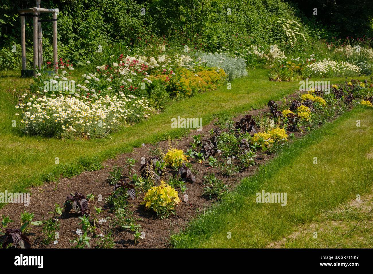 Blumenbeet bei der State Garden Show, Hoexter, Nordrhein-Westfalen, Deutschland Stockfoto