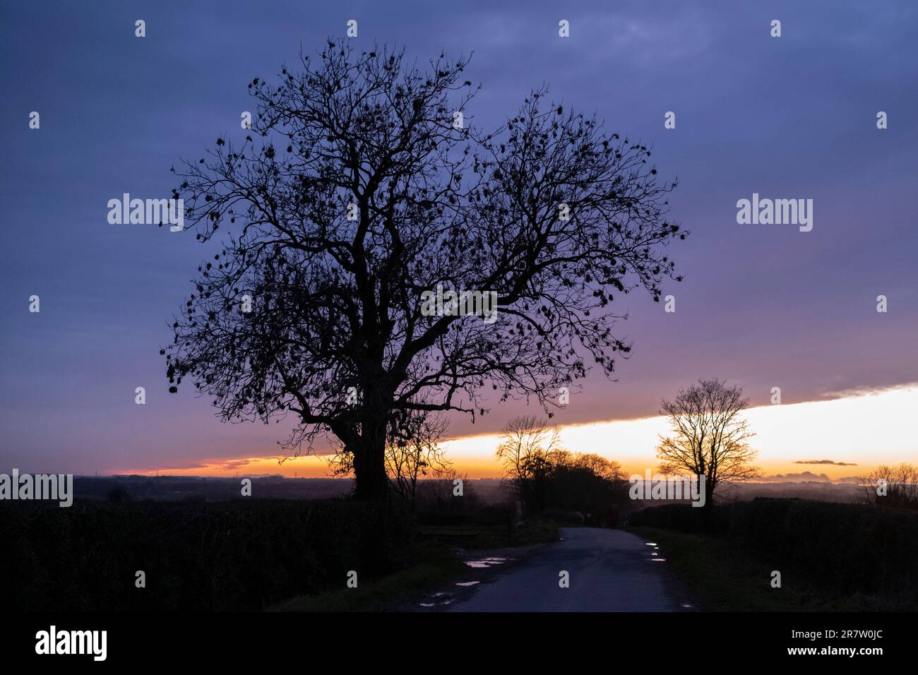 Der Sonnenuntergang bildet eine horizontale Farbabstufung am dunklen Himmel und eine Baumsilhouette in den Cotswolds, Oxfordshire Stockfoto