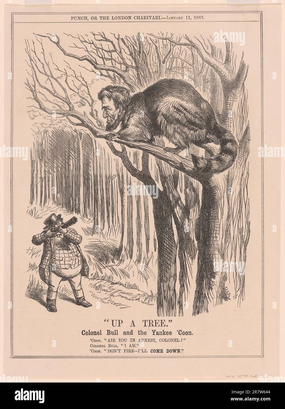 Up a Tree 11. Januar 1862 Stockfoto