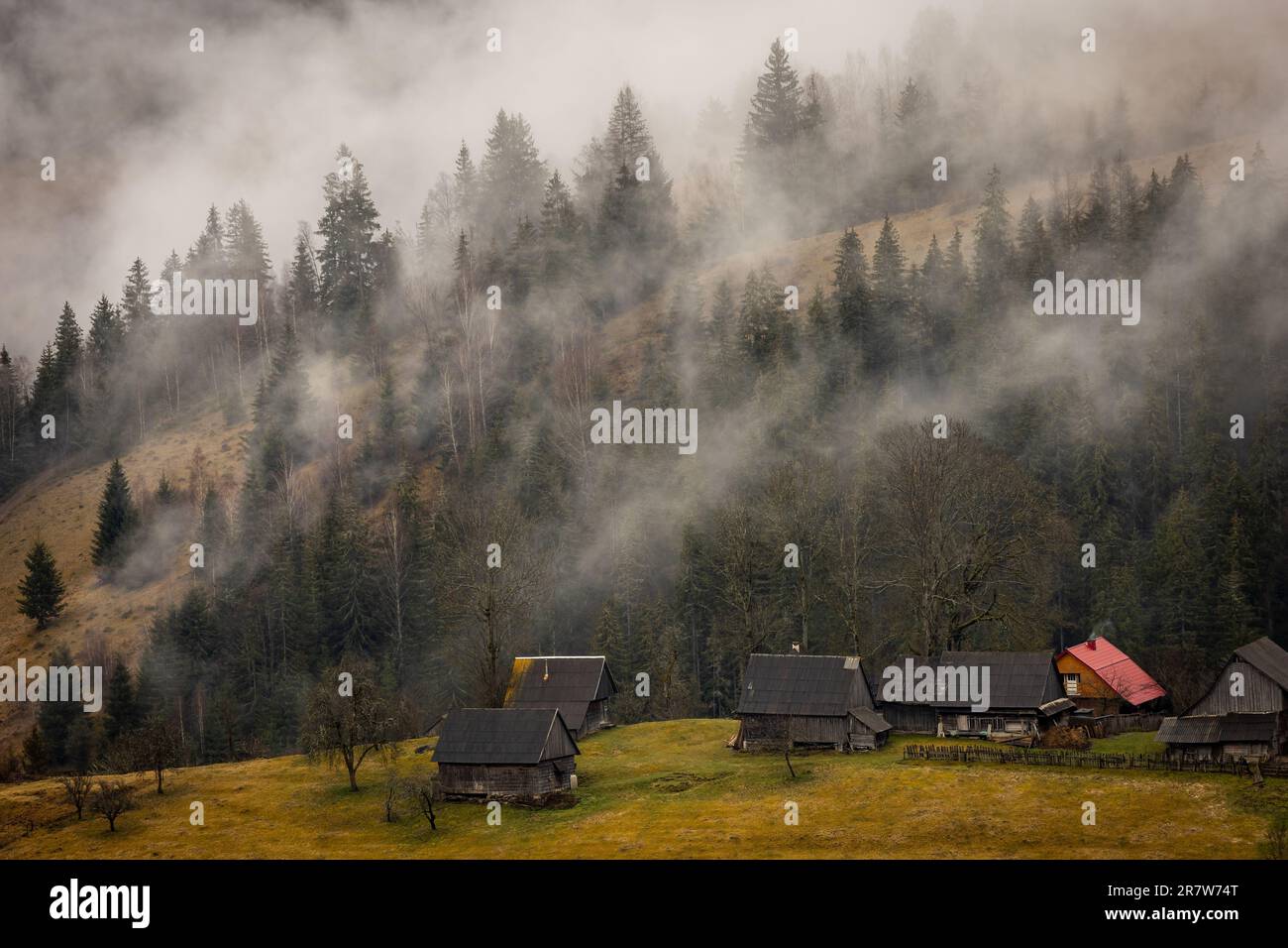 Abgelegene ländliche Landschaft irgendwo in den Karpaten mit Nebel. Foto aufgenommen am 1. April 2023, Apuseni-Berge, Rumänien. Stockfoto