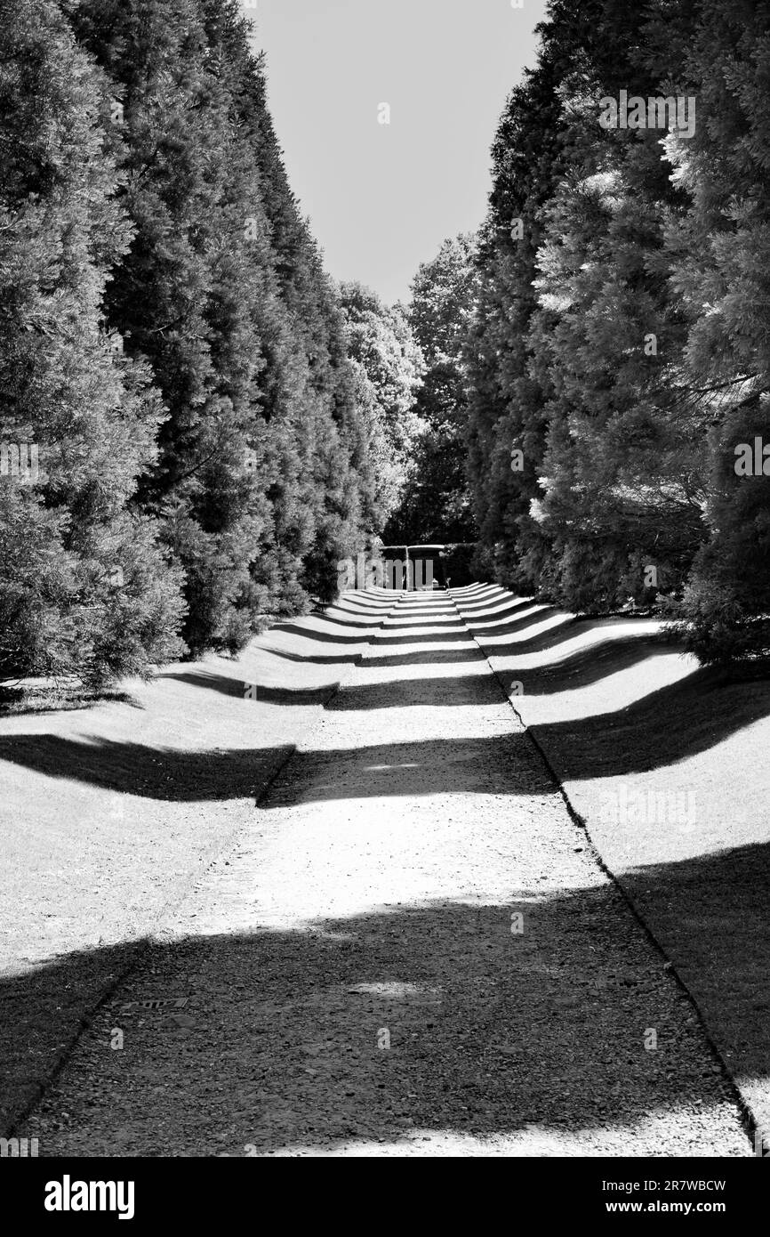 Schatten auf Weg Stockfoto