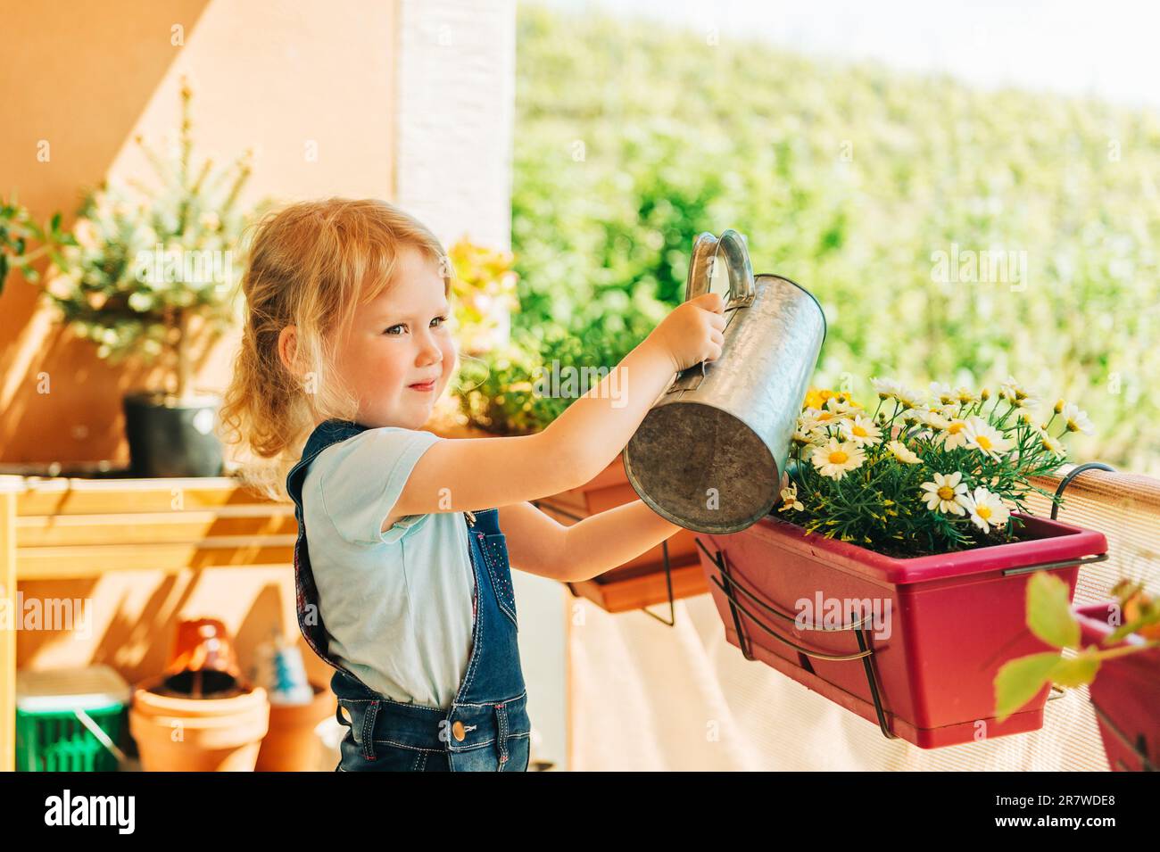 Ein bezauberndes 3-4-jähriges Mädchen, das auf dem sonnigen Balkon gelbe Gänseblümchen gießt, Aktivitäten zur Hausarbeit für Kinder Stockfoto