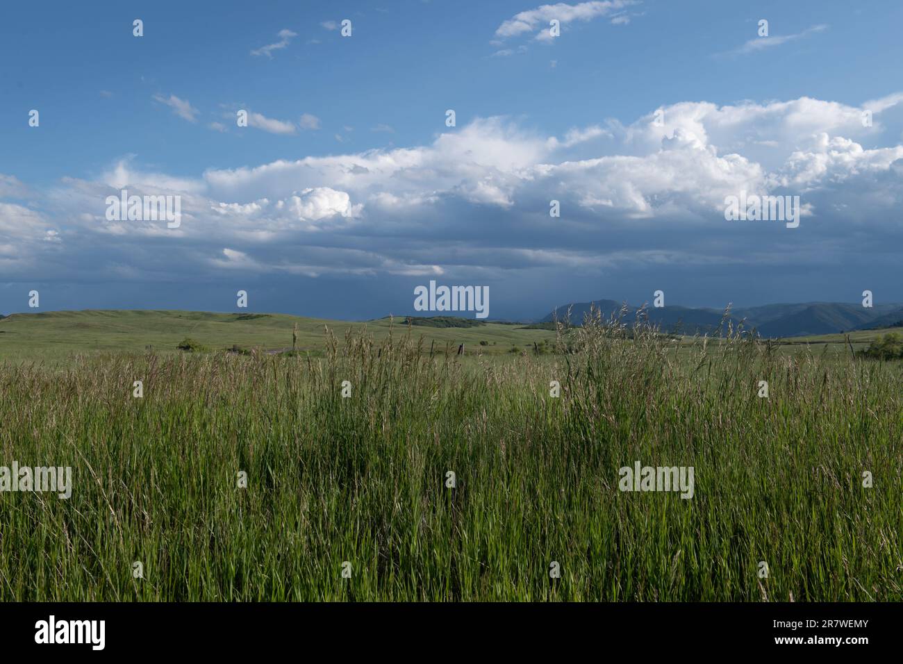 Greenland Open Space, ein County Park in der Nähe von Monument, Colorado Stockfoto