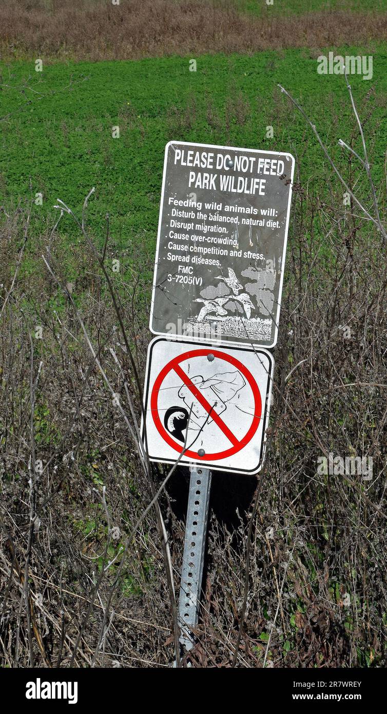 Bitte füttern Sie das Schild „Park Wildlife“ am Lake Elizabeth in Fremont, Kalifornien, nicht Stockfoto