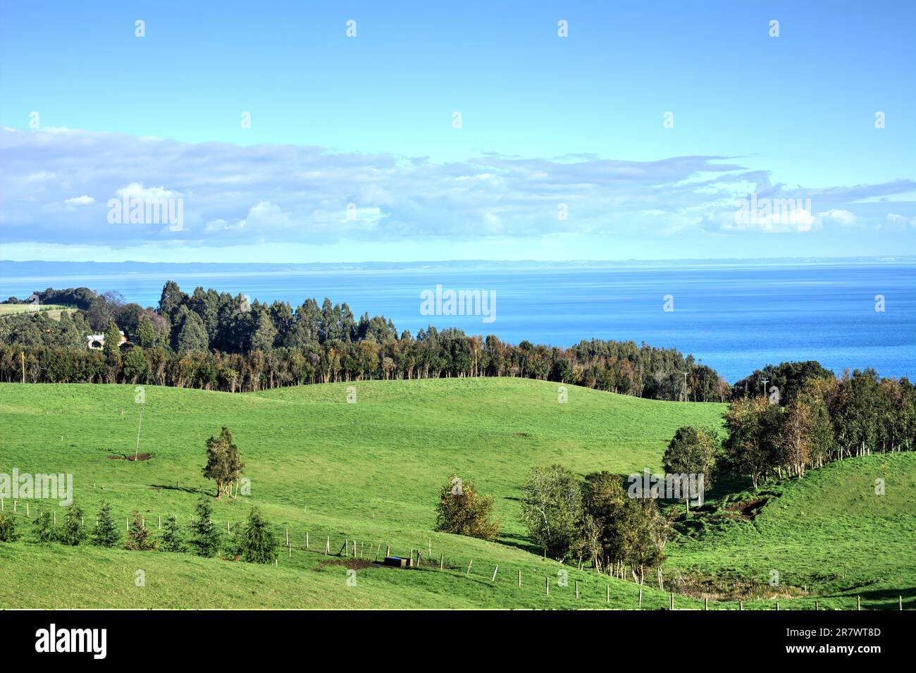 Idyllische Landschaft mit grünen Weiden auf der Insel Chiloe und dem Ozean am Horizont Stockfoto