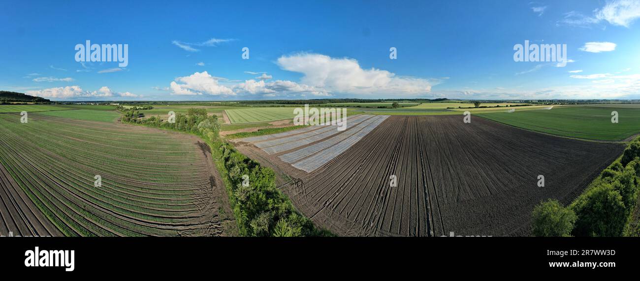 Sprühen Wasser Sprinkler Bewässerungsanlage im Hof gegen Wasser Bewässerungsanlagen in der Intensivlandwirtschaft, Tschechische republik, Europa Stockfoto