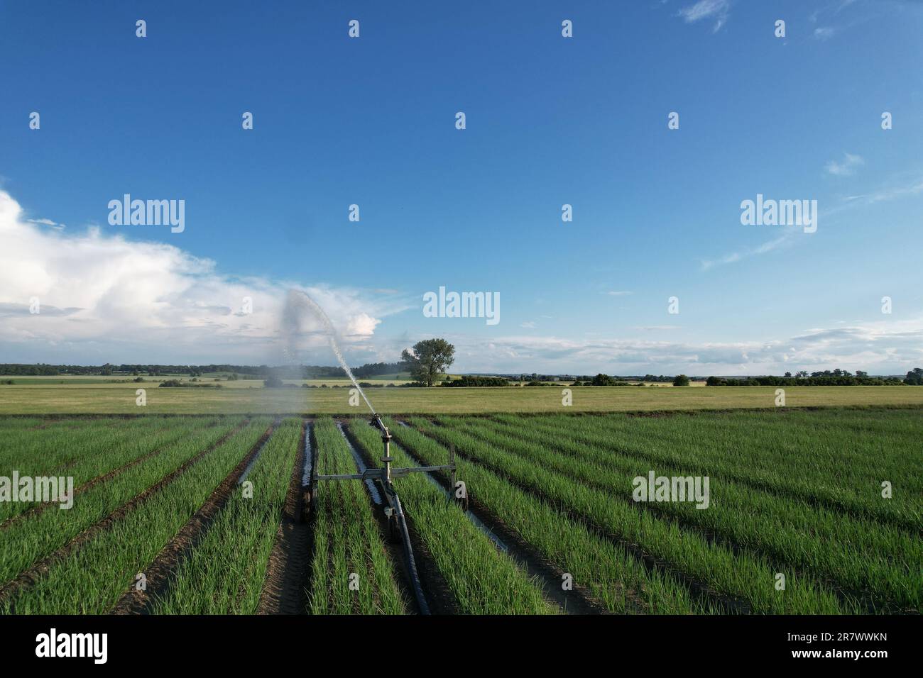 Sprühen Wasser Sprinkler Bewässerungsanlage im Hof gegen Wasser Bewässerungsanlagen in der Intensivlandwirtschaft, Tschechische republik, Europa Stockfoto