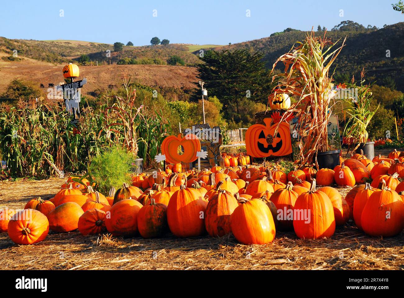 An einem Herbsttag lädt Kalifornien in der Nähe der Half Moon Bay zu Halloween-Dekorationen ein Stockfoto