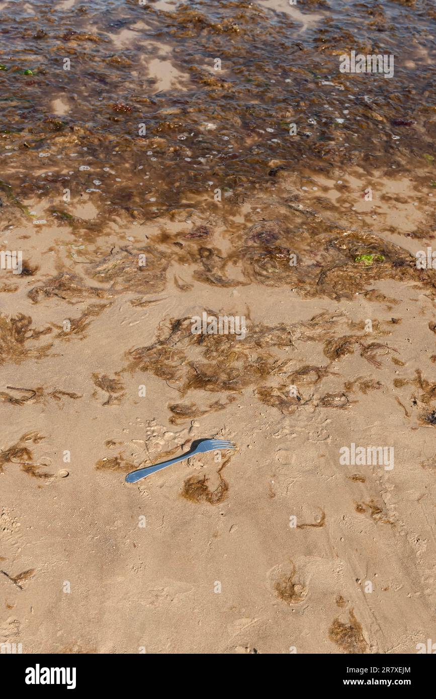 Vergessen am Strand mit Seegras, das sich am Ufer zersetzt Stockfoto