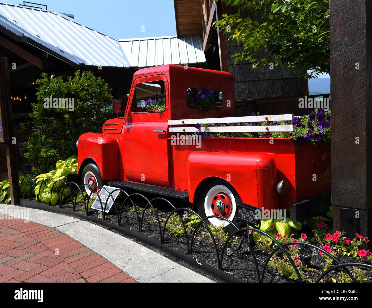 Rote Abholung in Anakeesta in Gatlinburg. Stockfoto