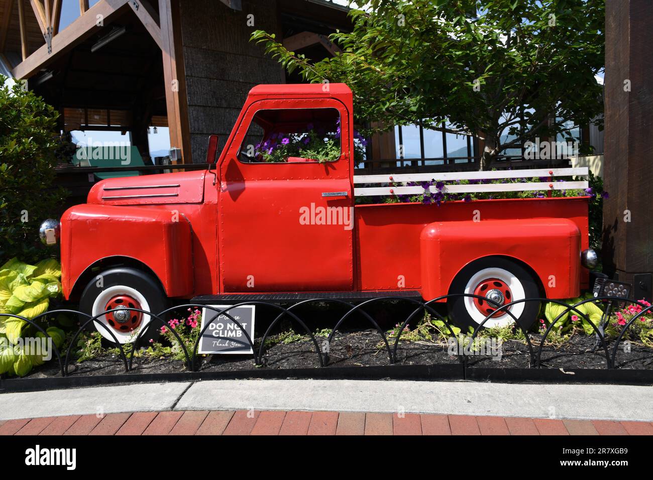 Rote Abholung in Anakeesta in Gatlinburg. Stockfoto