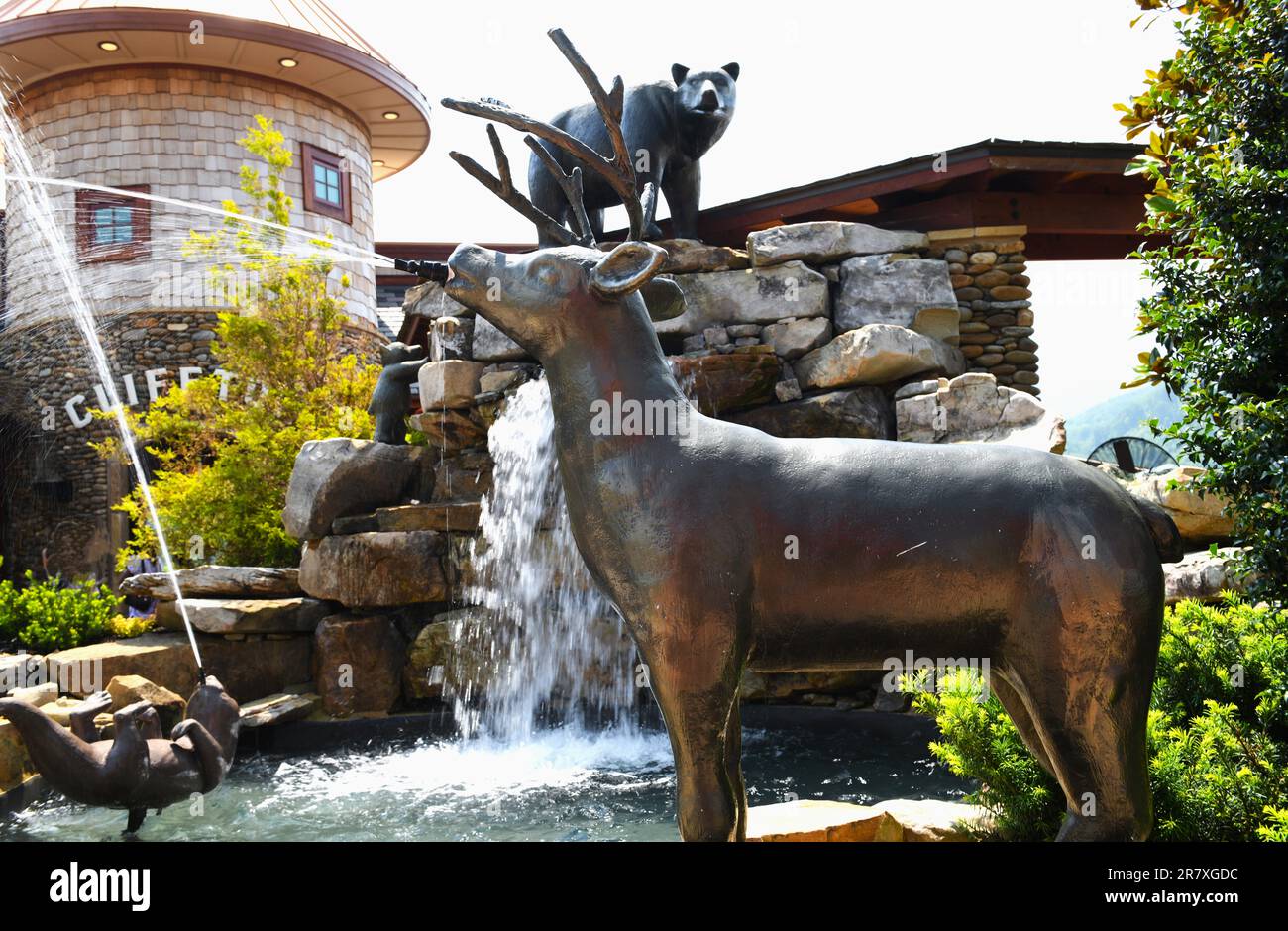 Planschbecken in Anakeesta in Gatlinburg. Stockfoto