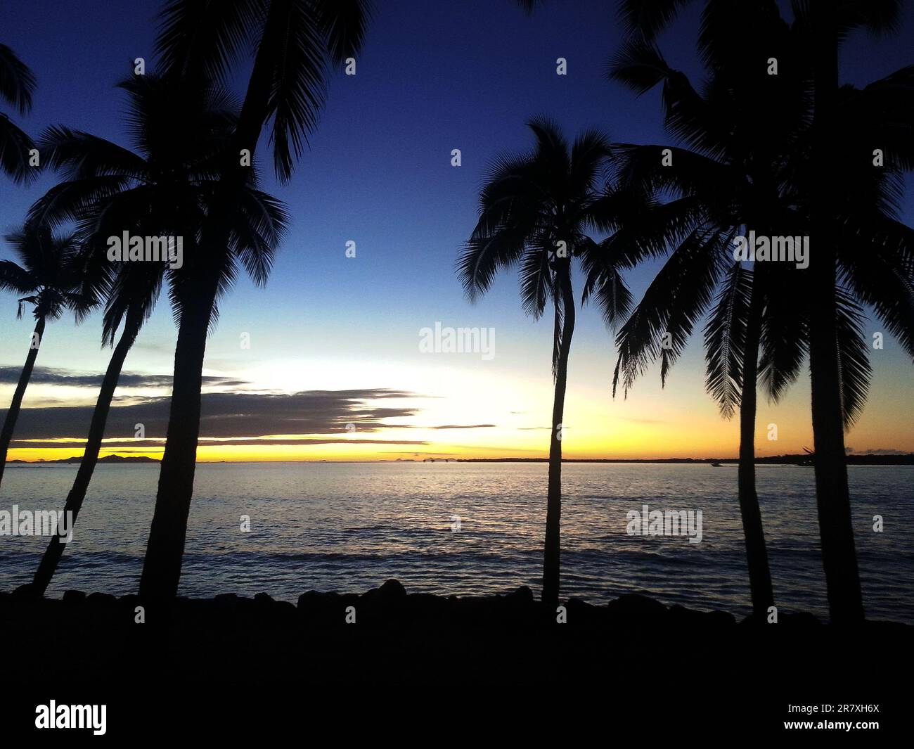 Sonnenuntergang an einem palmengesäumten Strand mit einem ruhigen Ozean im Hintergrund in Suva, Fidschi. Stockfoto