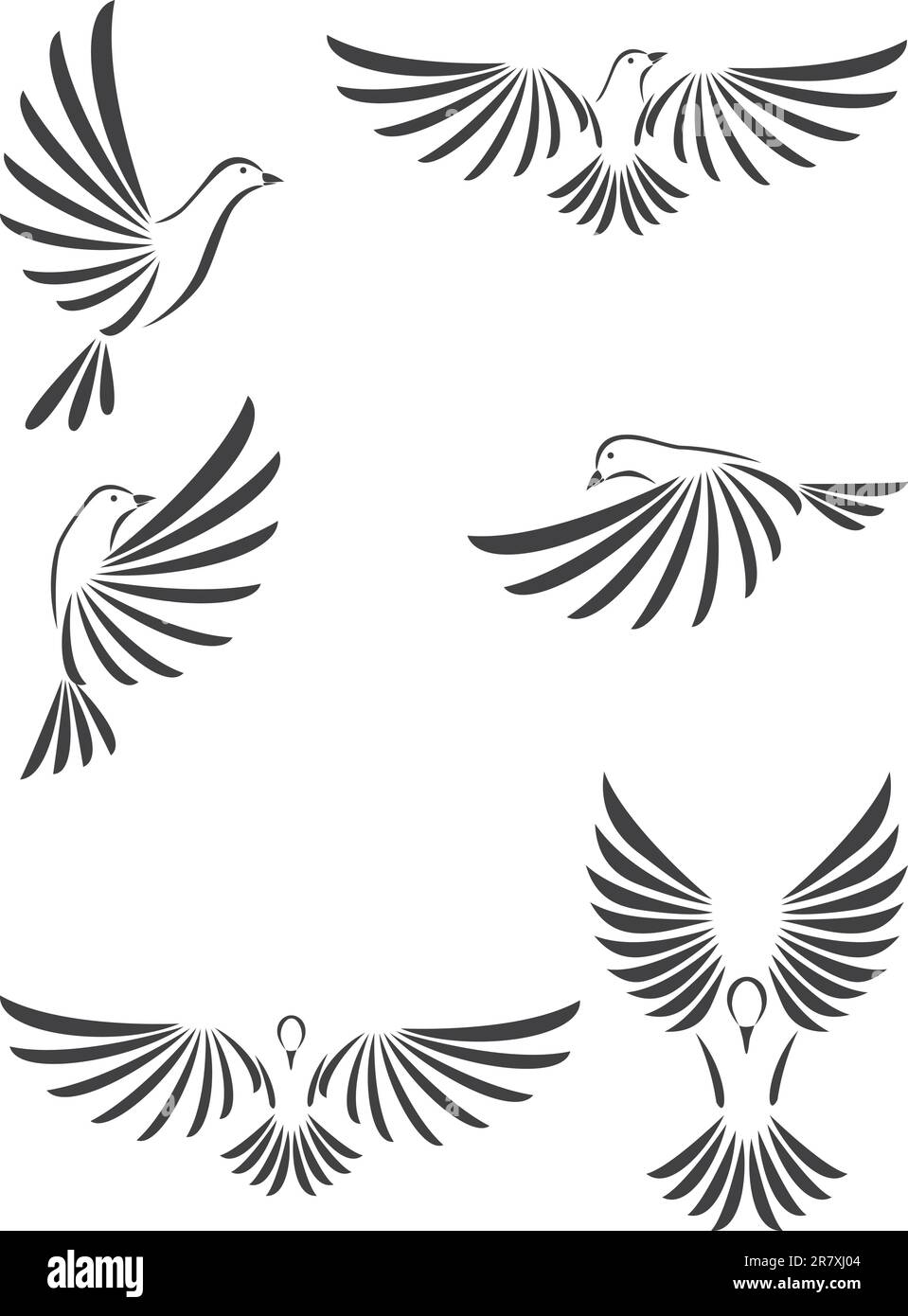 Taubenvektordarstellung Stock Vektor