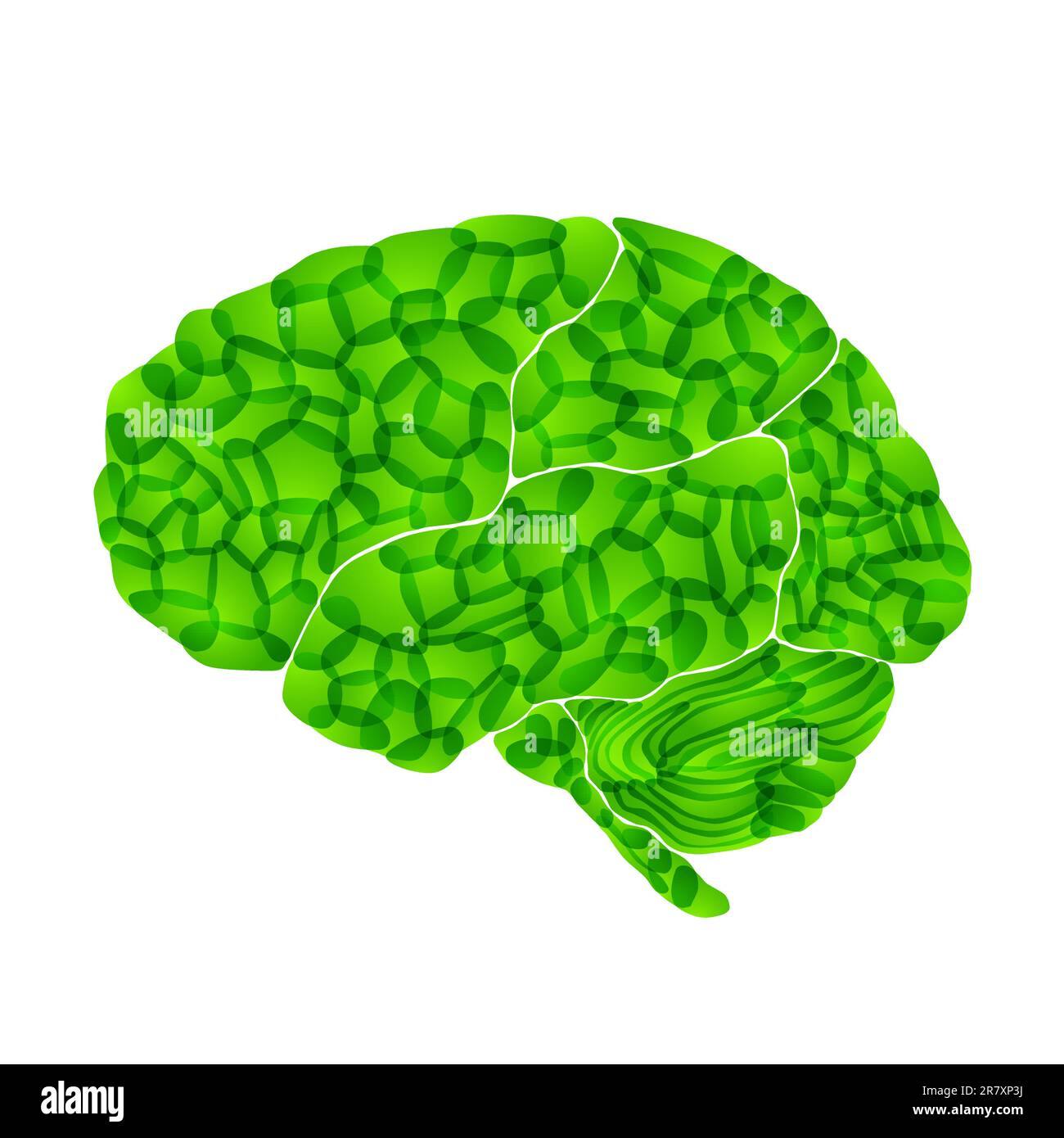 Menschliches Gehirn, grüne Gedanken, abstrakter Vektorhintergrund Stock Vektor