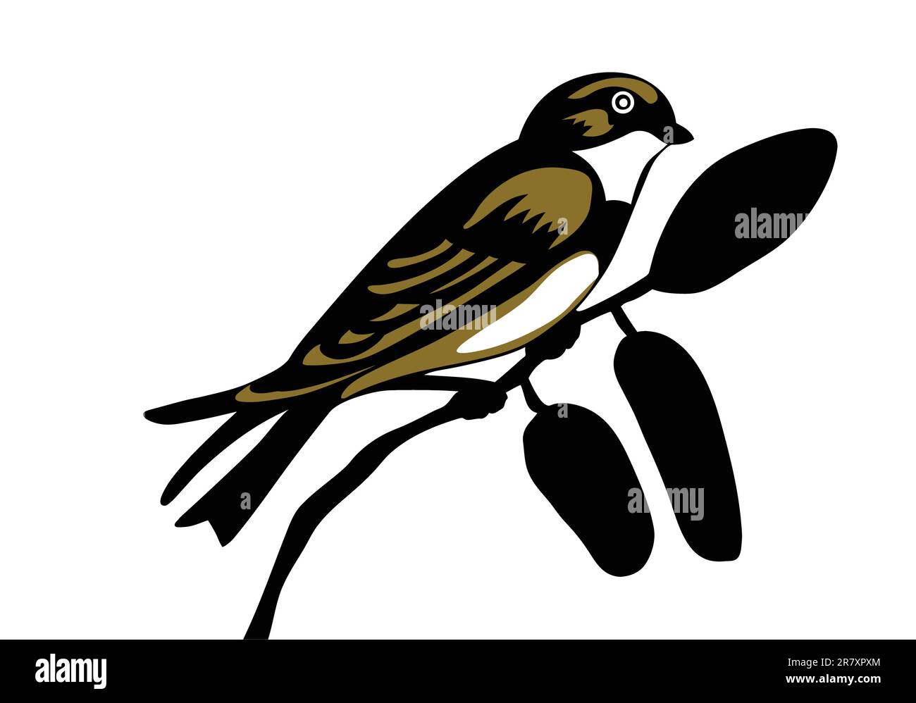 Schwalbe-Silhouette auf weißem Hintergrund, Vektor-illustration Stock Vektor