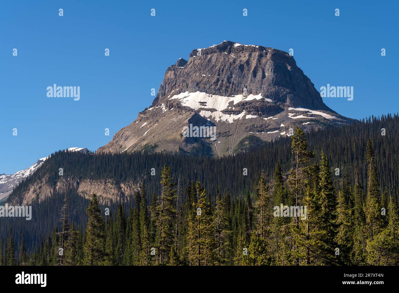 Cathedral Mountain Peak, Yoho Nationalpark, Kanada. Stockfoto