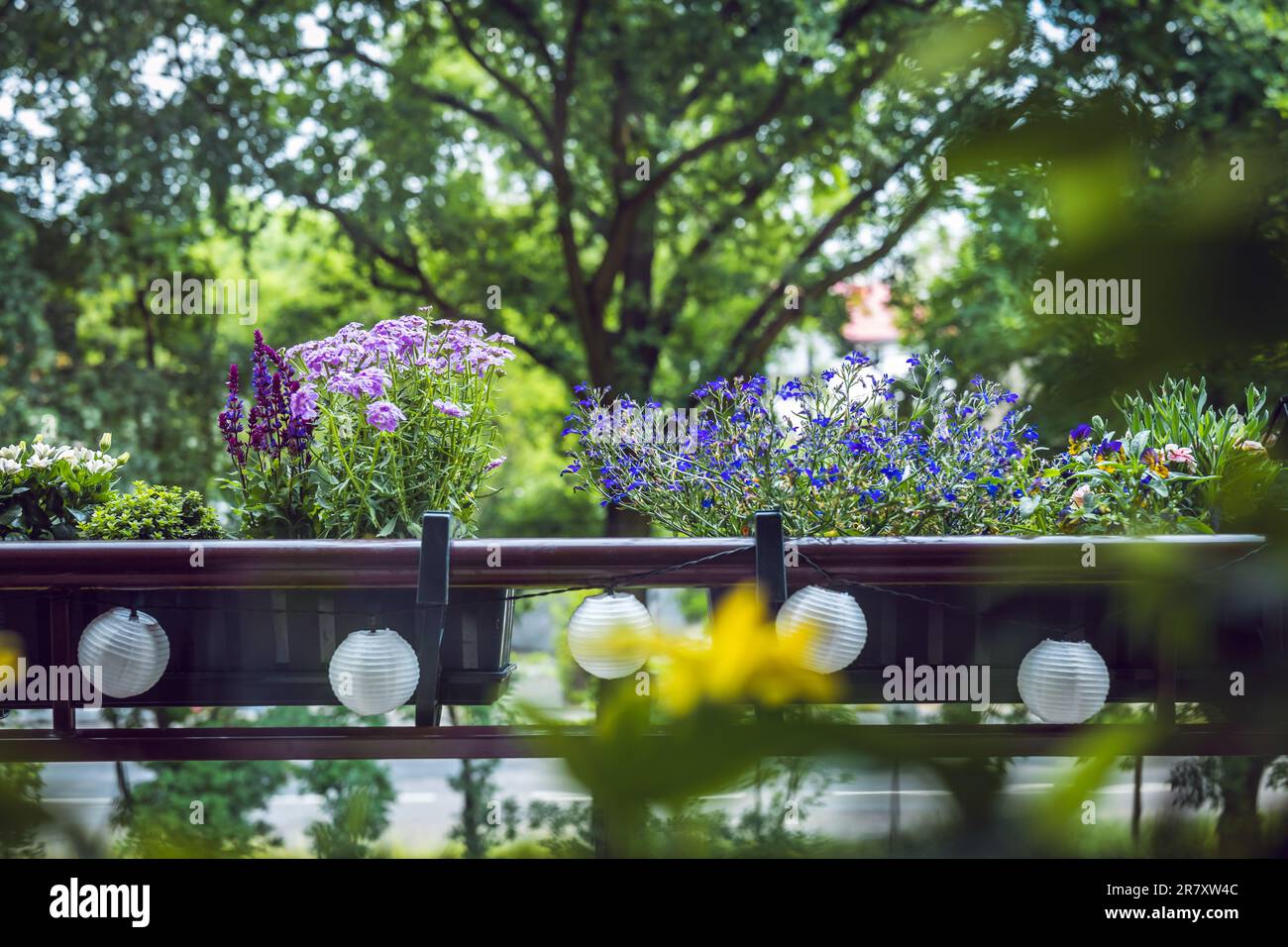Schöner kleiner Balkon voller Grün. Pflanzen in Töpfen, die an der Balustrade hängen, und Solarlampen. Frühling Stockfoto