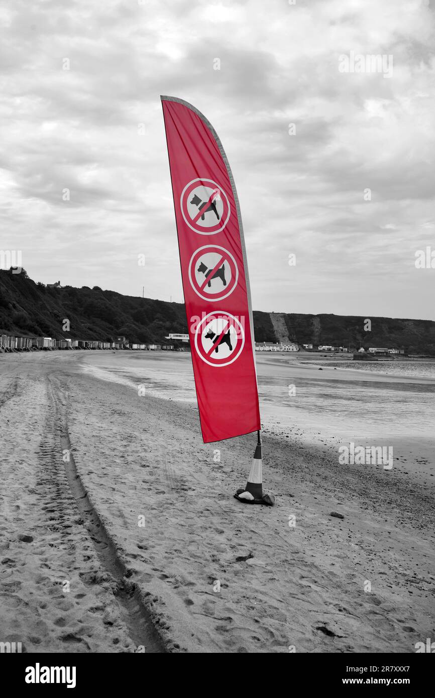Schild „Keine Hunde segeln“ am Morfa Nefyn Beach in Wales. Teil der Einschränkungen für Hunde zu bestimmten Jahreszeiten in Wales Stockfoto
