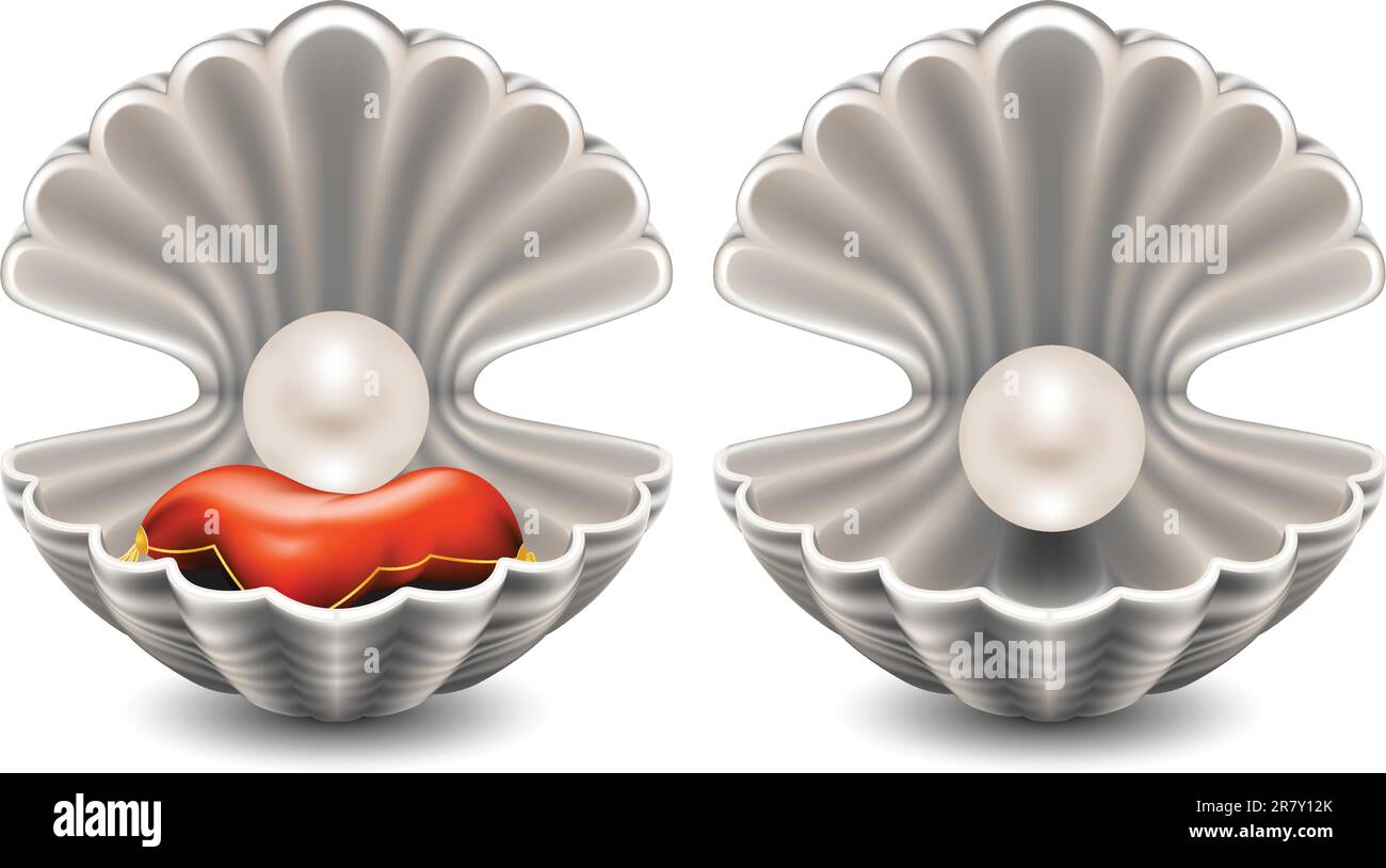 Die Muschel mit Perle auf dem kleinen Kissen öffnen Stock Vektor