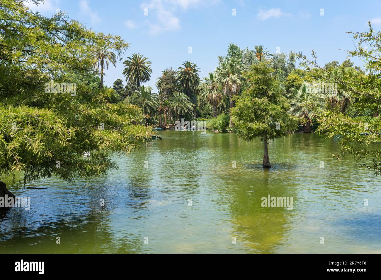 Der Parc de la Ciutadella, der Mitte des 19. Jahrhunderts im Herzen von Barcelona errichtet wurde, hat eine sehr schöne Gartenlandschaft mit einem Stockfoto