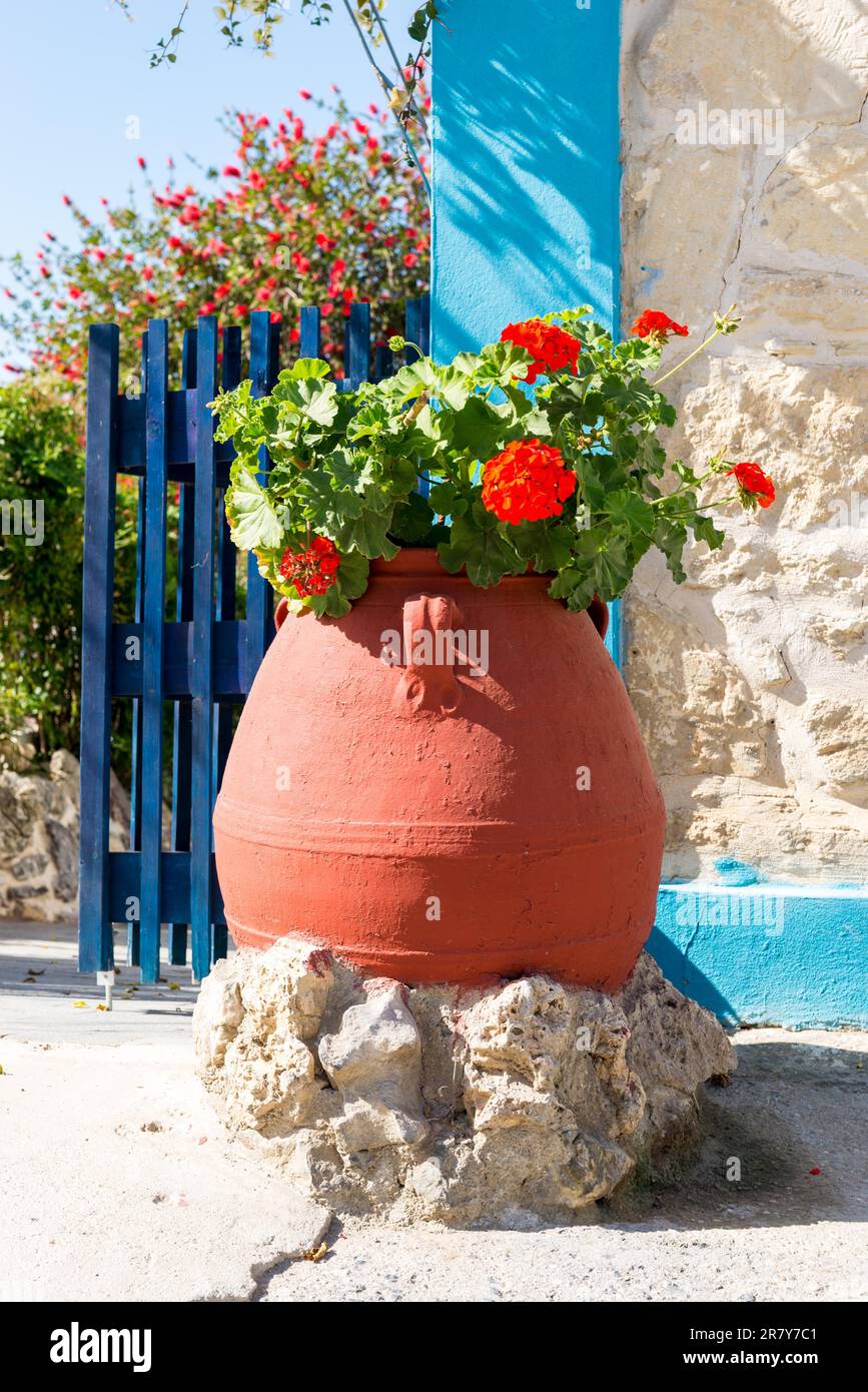 Großer Blumentopf in den Straßen von Pitsidia, einer kleinen Stadt im südlichen Zentrum von Kreta. Geranien werden häufig als Zierpflanze verwendet Stockfoto