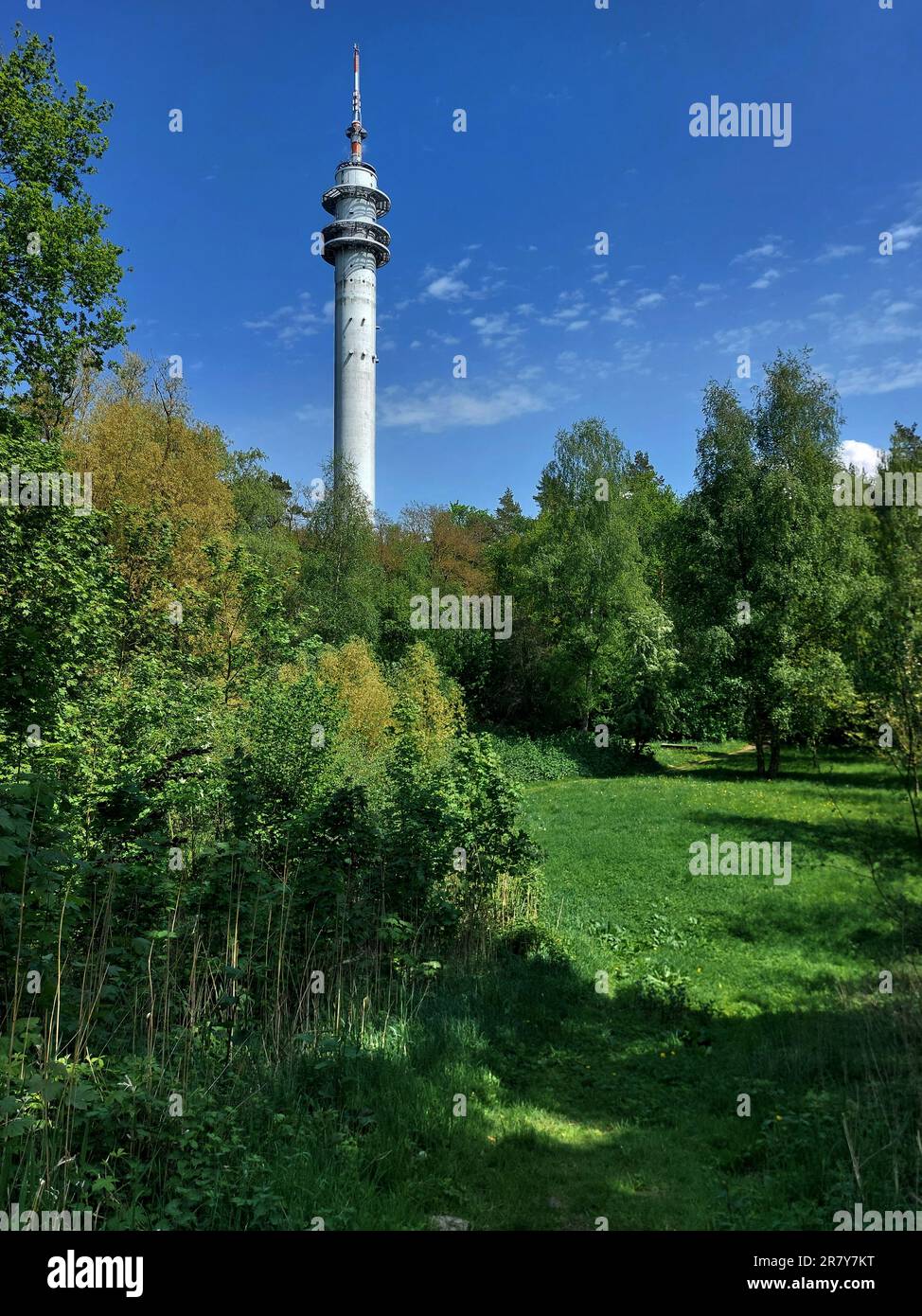 Telekommunikationsturm hinter dichter Vegetation in Rostock. Stockfoto