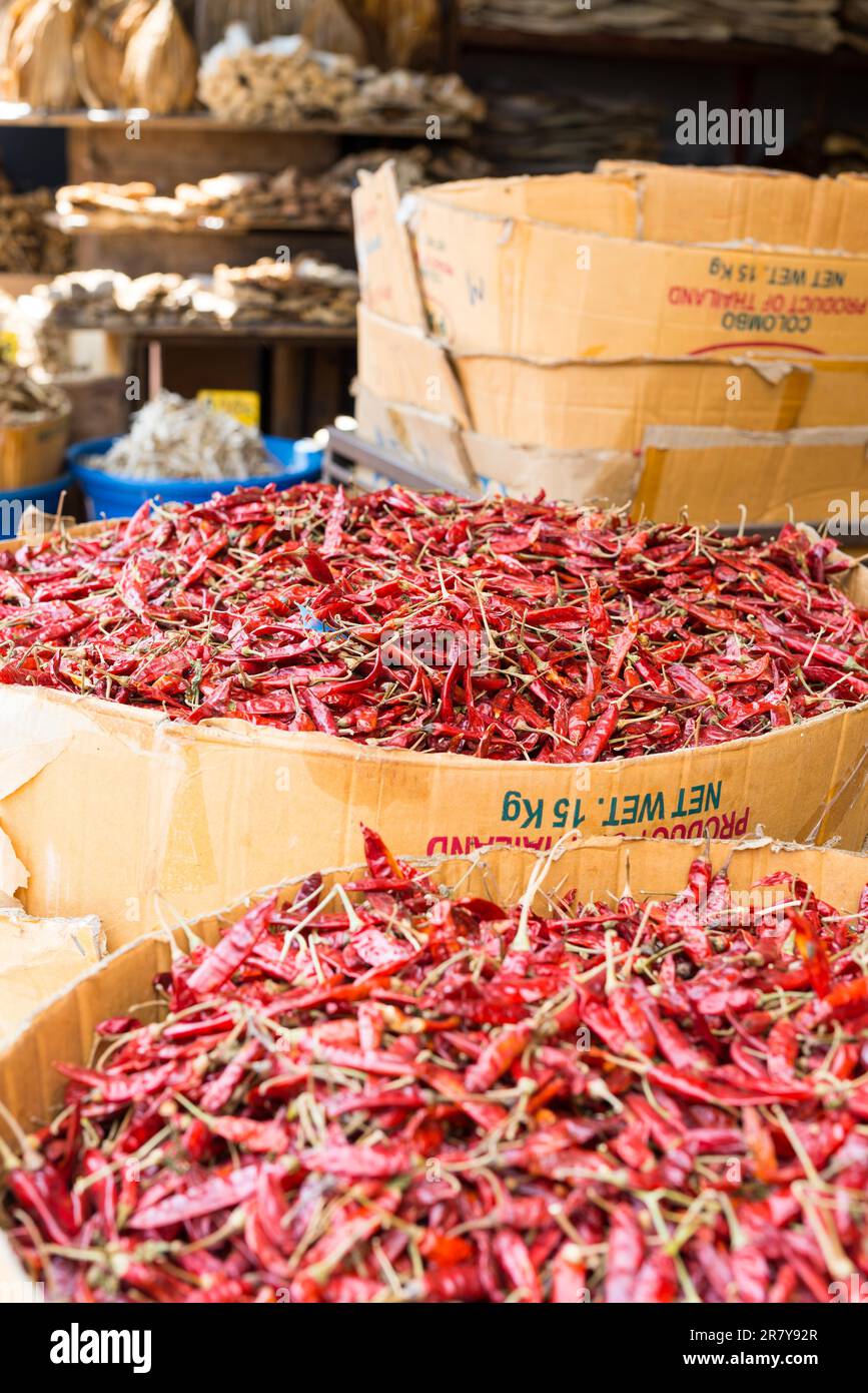 Jede Menge getrockneter, roter, heißer Chili-Pfeffer in einer Pappschachtel in einem Geschäft in Galle, Sri Lanka. Viele Geschäfte in der großen Stadt bieten alle Arten von Kräutern und Stockfoto