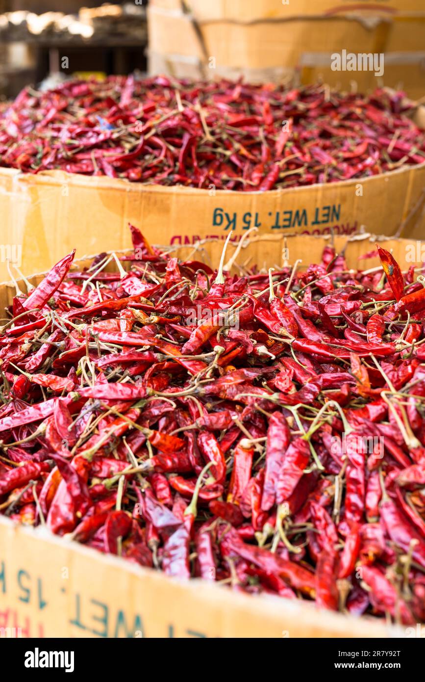 Jede Menge getrockneter, roter, heißer Chili-Pfeffer in einer Pappschachtel in einem Geschäft in Galle, Sri Lanka. Viele Geschäfte in der großen Stadt bieten alle Arten von Kräutern und Stockfoto