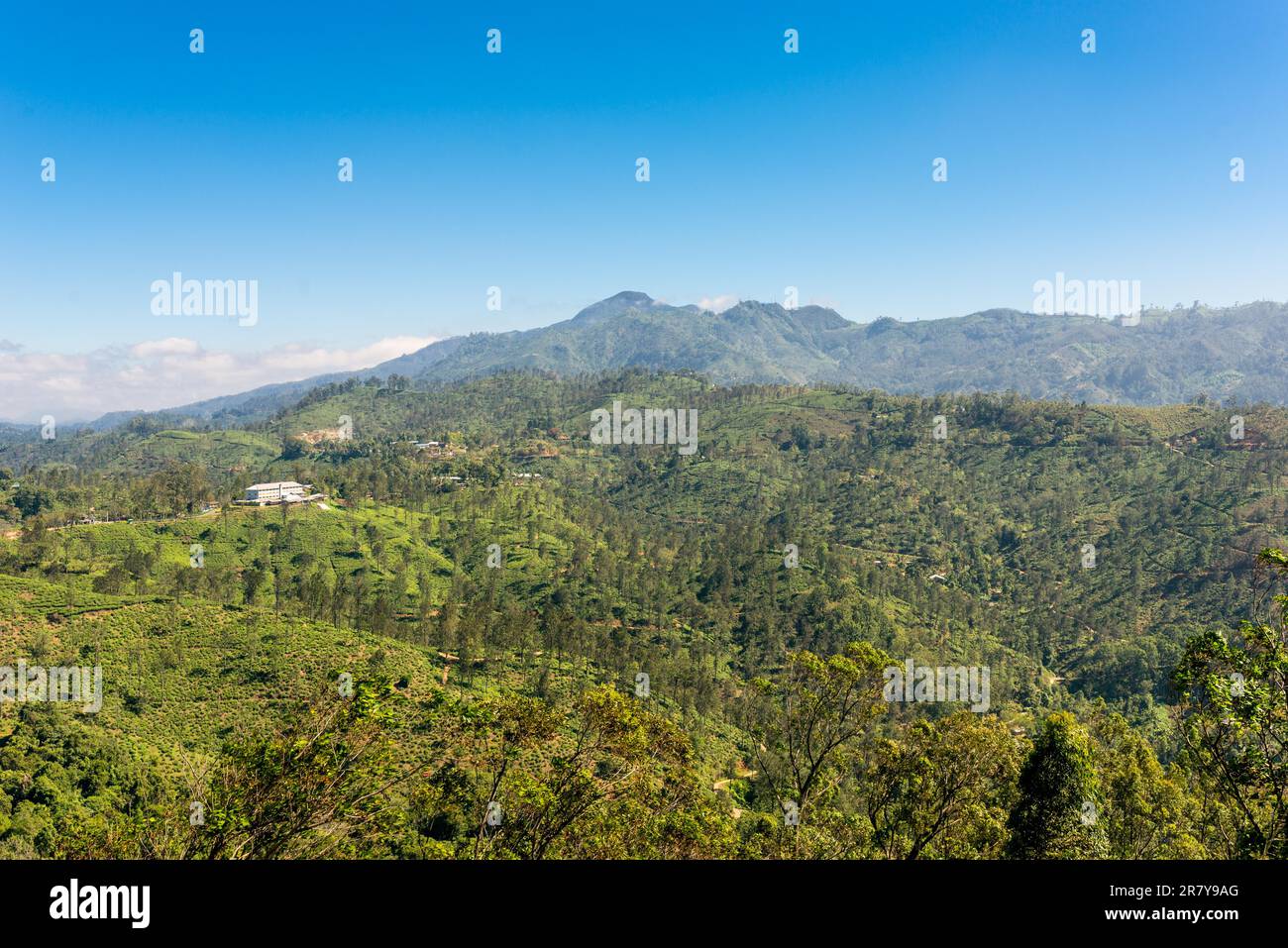 Der Berg Namunukula, der vom Gipfel Little Adams aus gesehen wird, ist ein berühmter Aussichtspunkt in der Nähe der Kleinstadt Ella, die sich in der Provinz Uva von Sri Lanka befindet Stockfoto