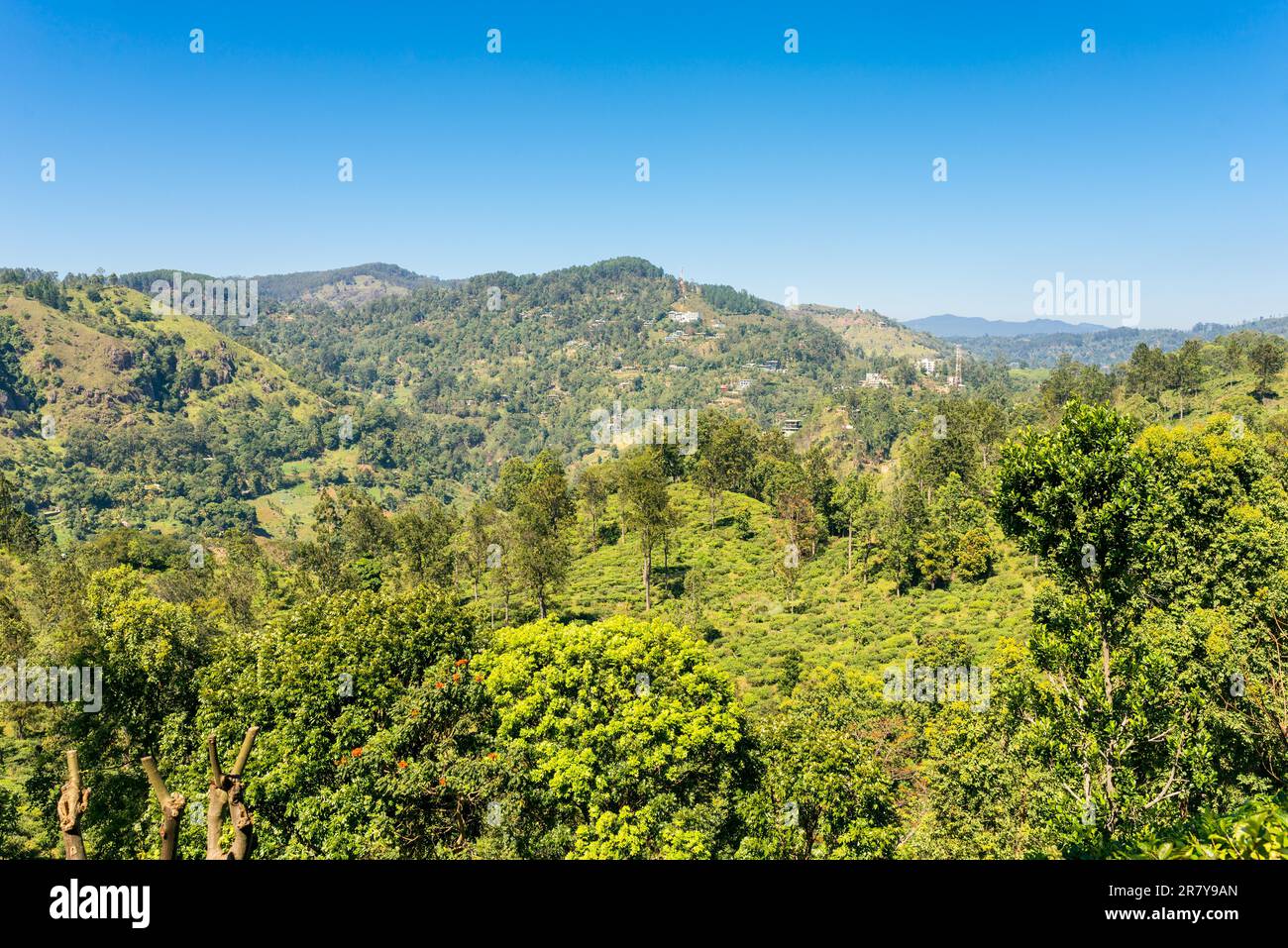 Sri Lanka, Asien, Ceylon, Südasien, Ella, Ella - Sri Lanka, Kleinstadt, Siedlung, Ort, Häuser, Wohngegend. Provinz, Berge, Hochland Stockfoto