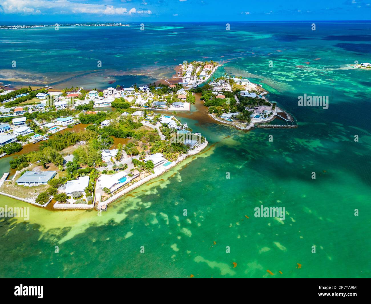 Blick aus der Vogelperspektive auf Sombrero Beach mit Palmen auf den Florida Keys, Marathon, Florida, USA. Stockfoto