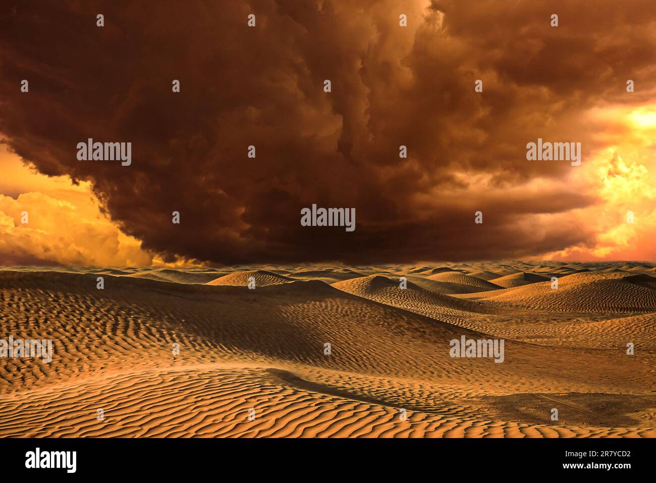 Wüstendünen und dramatisch bewölkter Himmel Stockfoto
