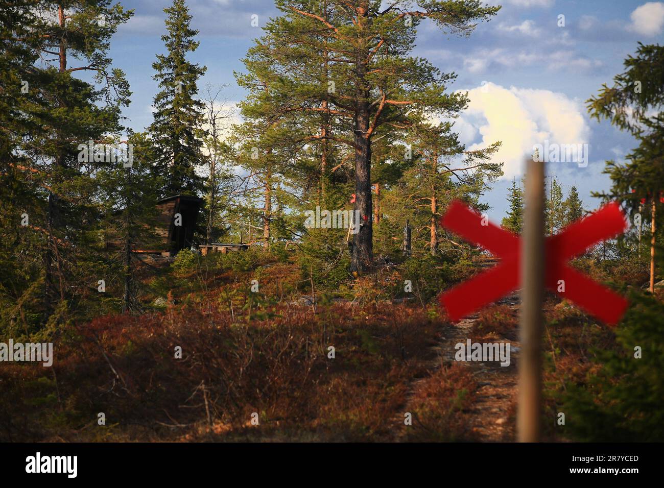 Ein rotes Kreuz als Wegmarkierung im Wald in Nordschweden. Stockfoto