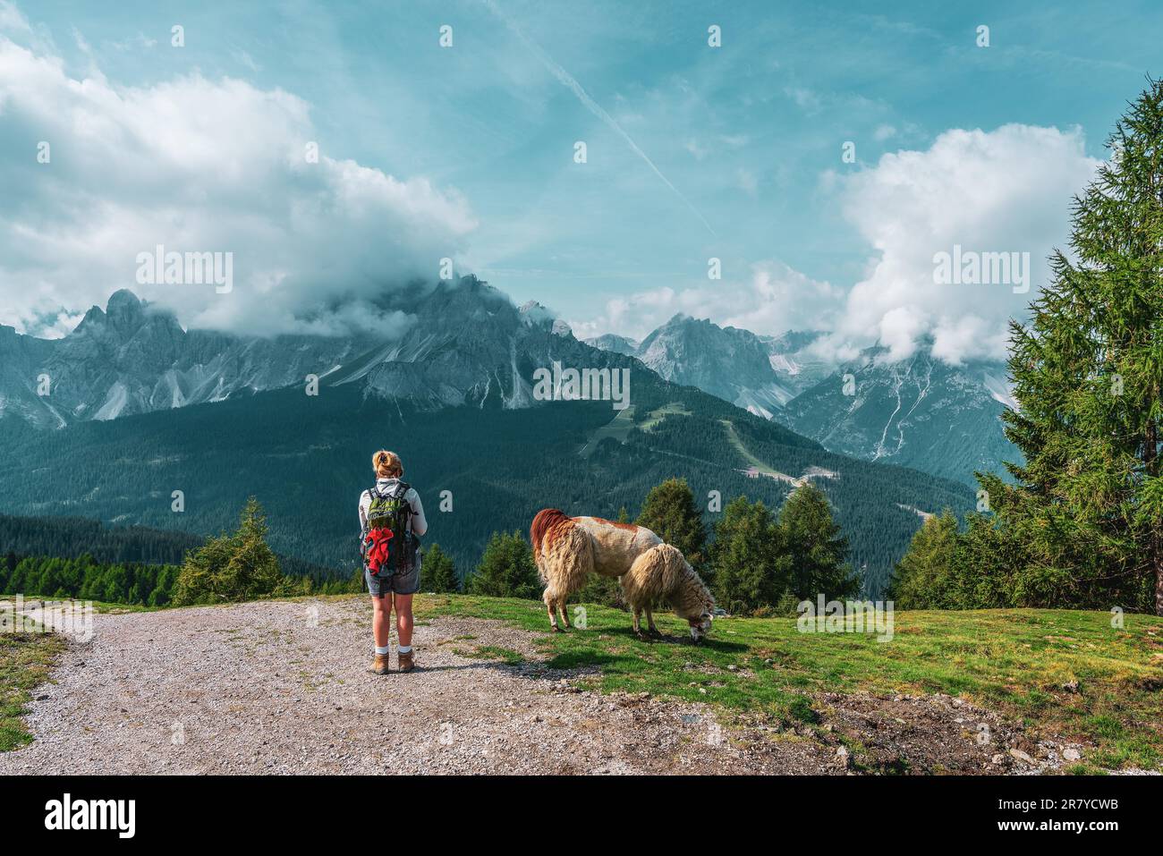 Rucksacktouristen und Lamas auf Wanderwegen in den Dolomiten, Italien Stockfoto