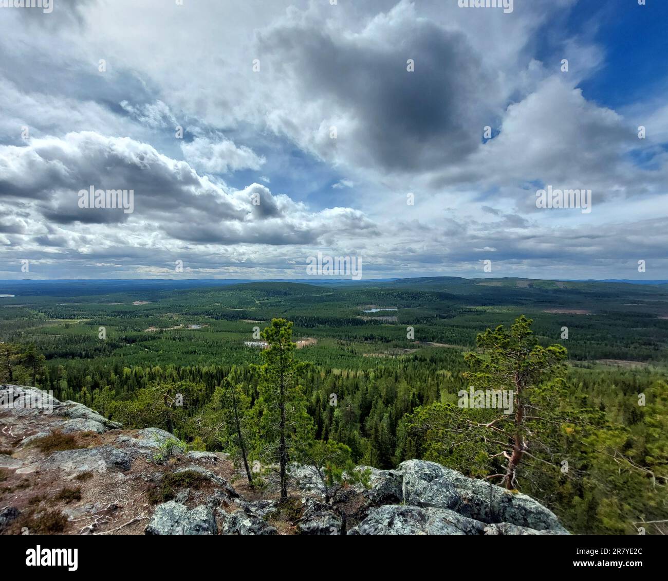 Blick über die nordischen Wälder vom kleinen Berg Vithatten in Schweden. Stockfoto