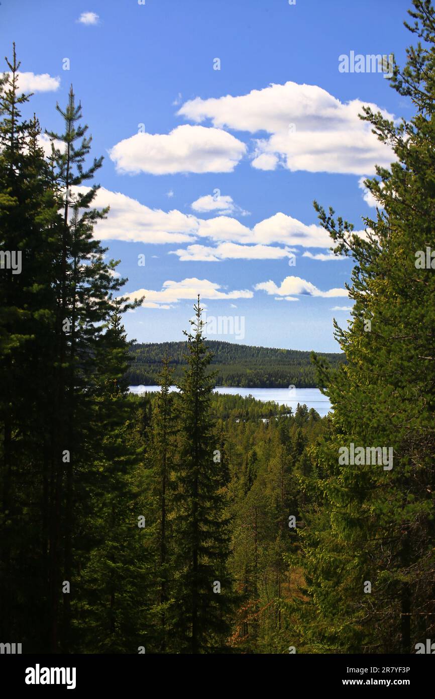 Idyllischer Blick auf den nördlichen schwedischen See Kvammarn. Stockfoto