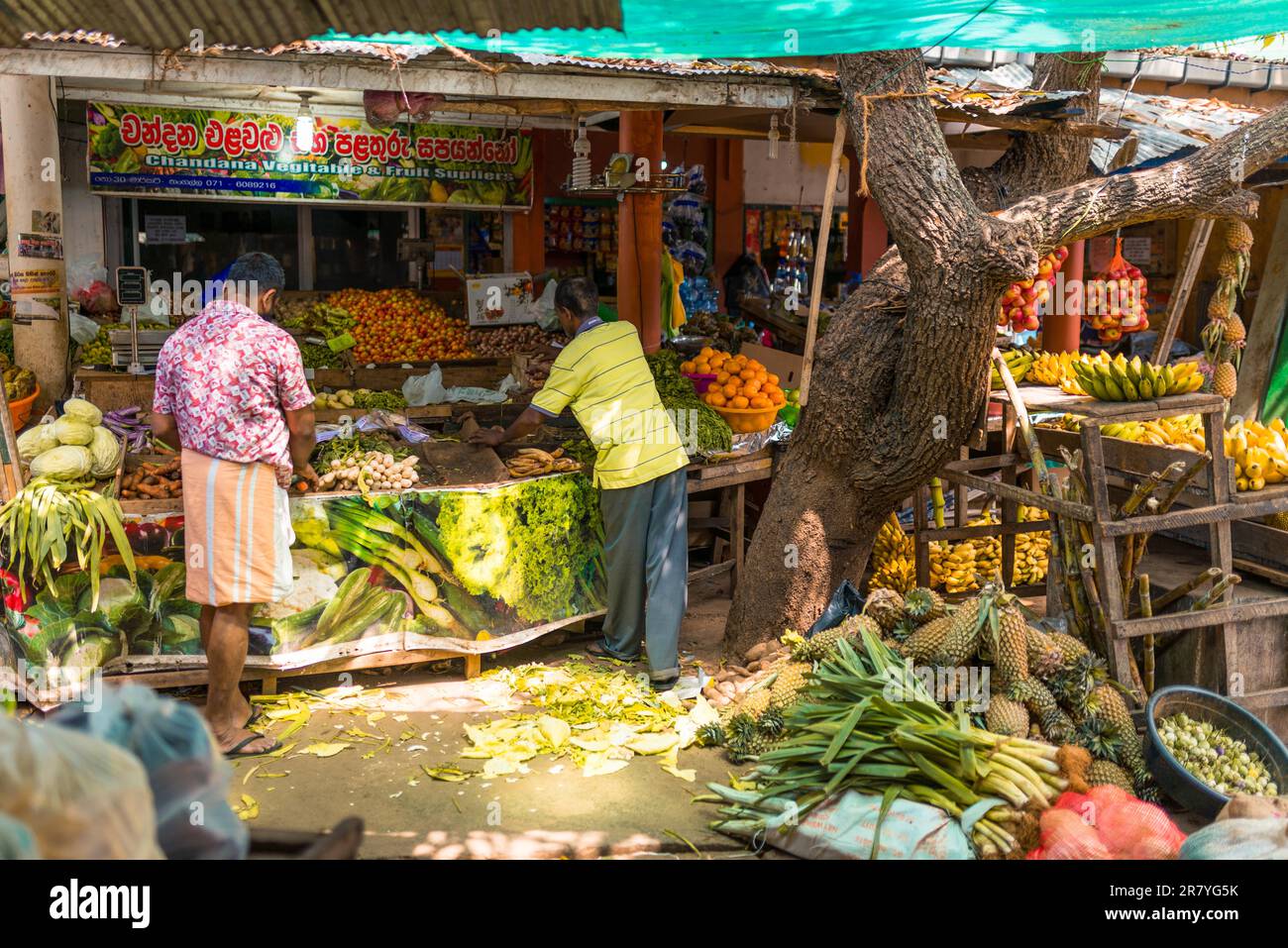 Der alte Bauernmarkt mit allen möglichen Gemüsesorten und tropischen Früchten in Tangalle. Die Kleinstadt ist ein Ort, um Obst und Gemüse zu verkaufen Stockfoto