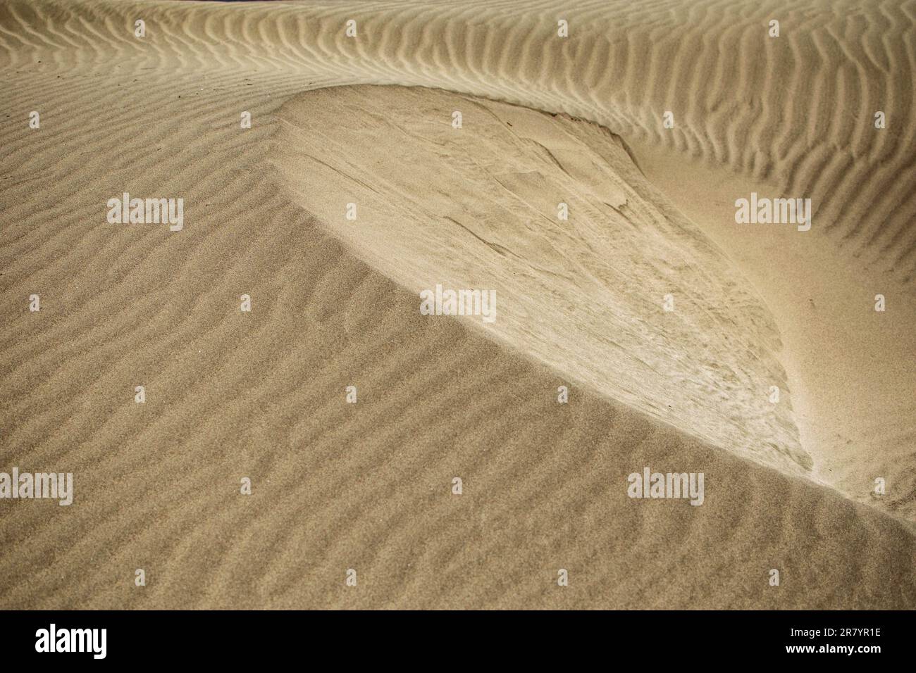 Abstrakte Mondsichel- und Wellenmuster in Sanddünen. Stockfoto